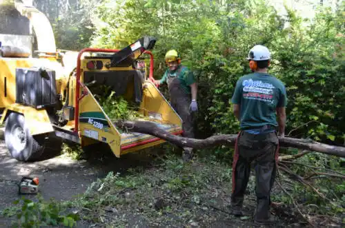 tree services Des Arc